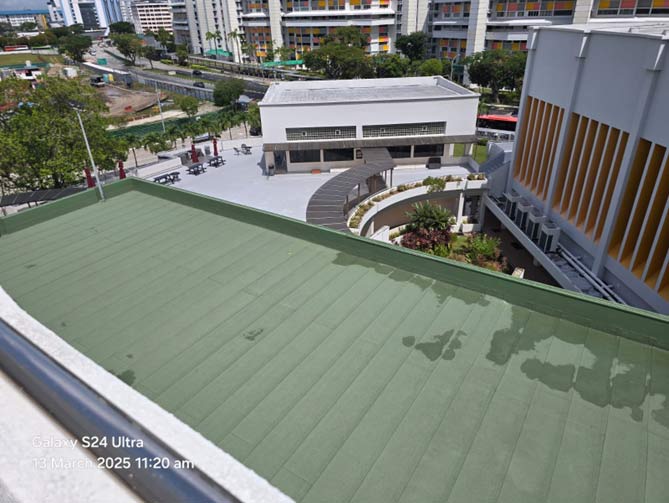safra